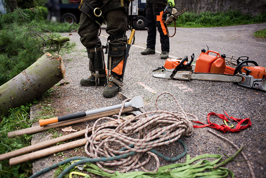 3x4_arborist-equipment.jpg