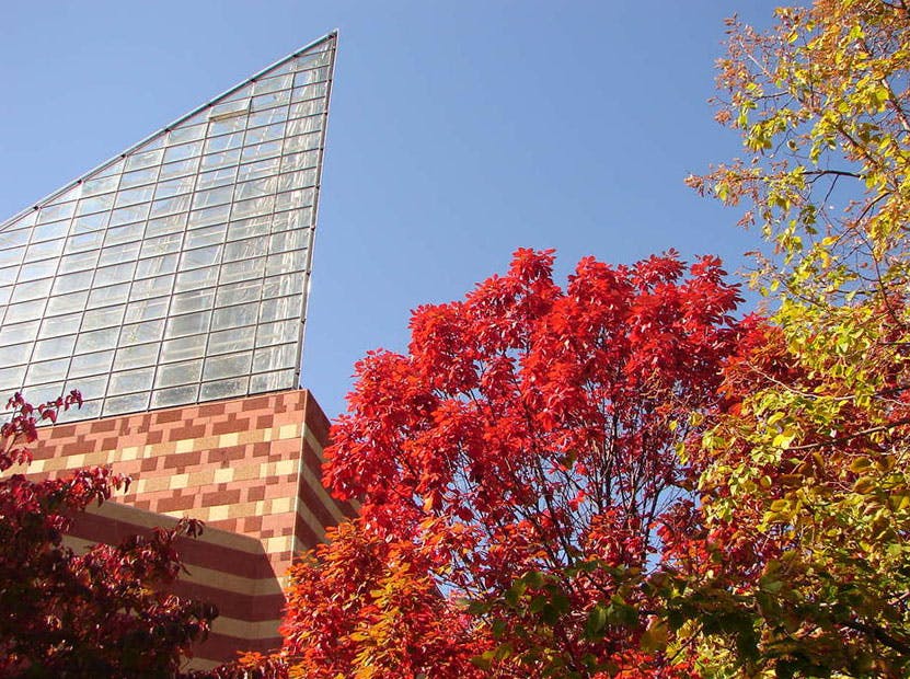 Working to prevent power outages in Chattanooga at EPB