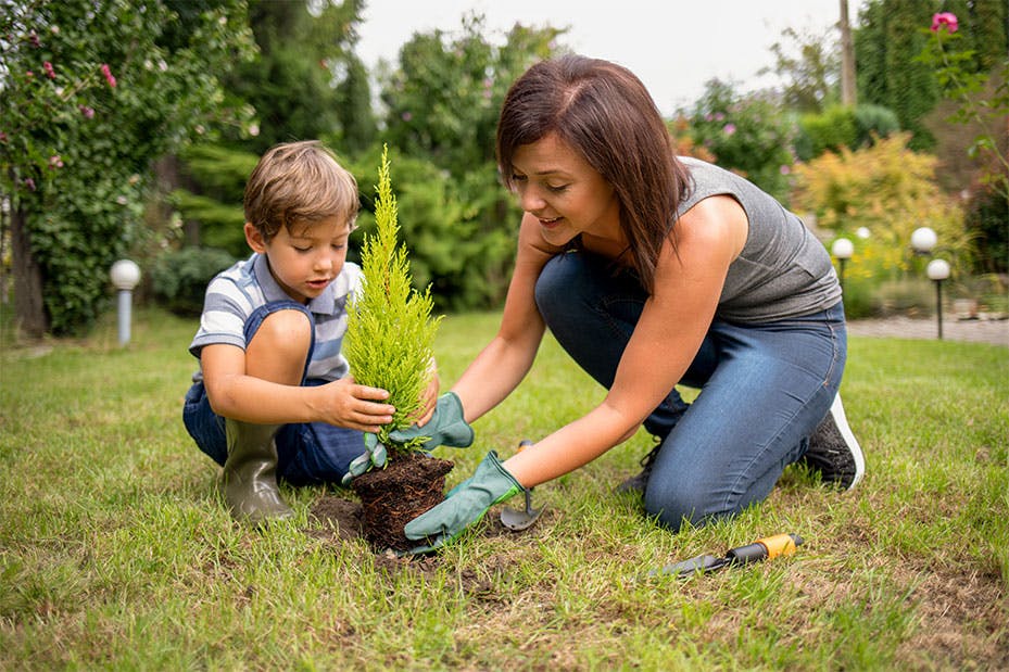 3x4_mother-son-tree-planting.jpg