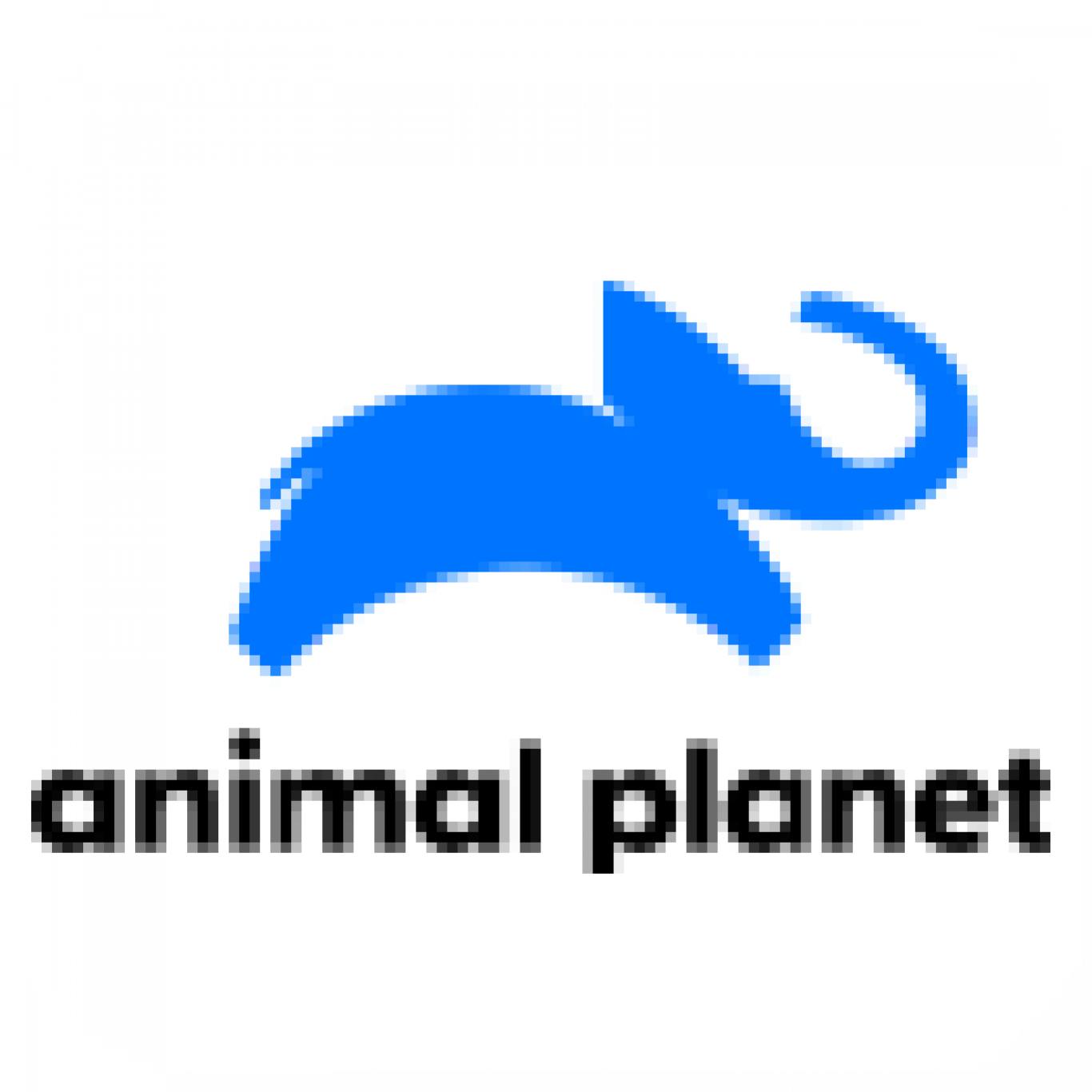 Animal Planet