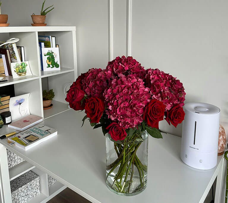 A vase of red hydrangeas sits in front of an air purifier on a white table next to a bookshelf in a white room.