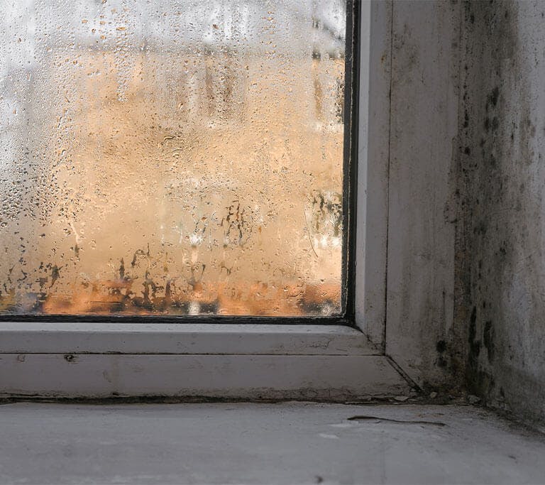A close-up of a window with visible mold growth around the edges.