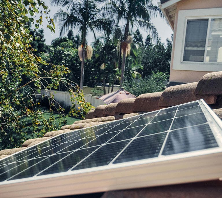 A Solar panel on a roof blocked by a large tree.