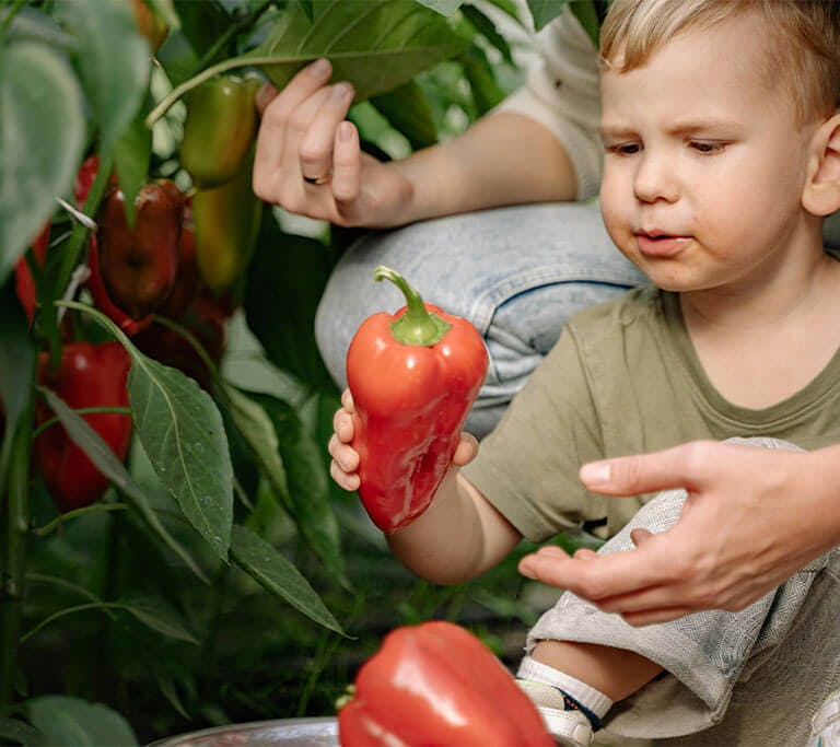 mother and child picking peppers from a community garden.
