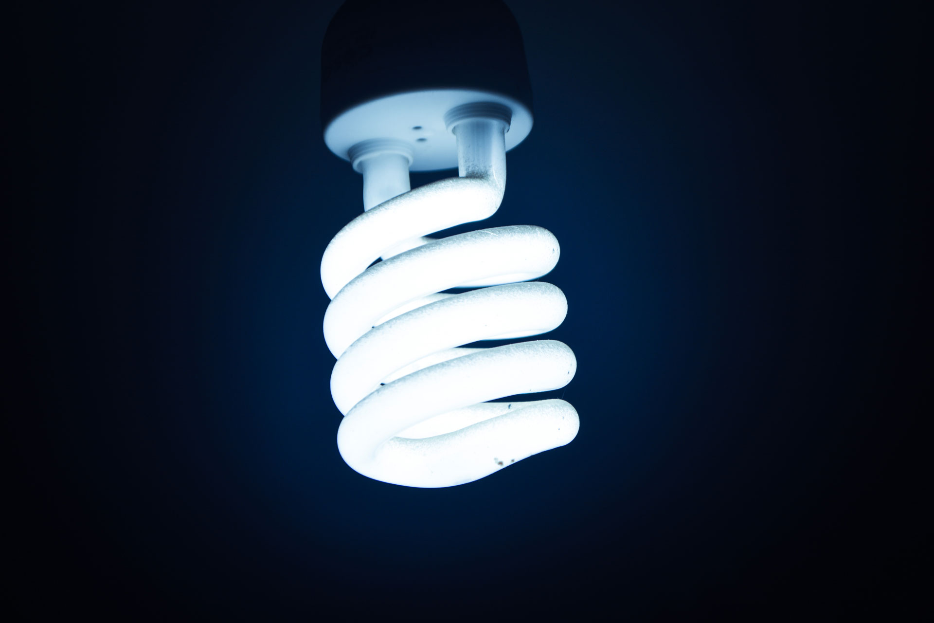 Best light bulbs store for home office