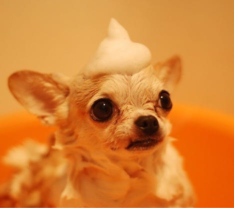 weatherize your home affordably