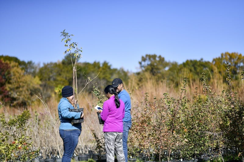 free tree releaf chattanooga