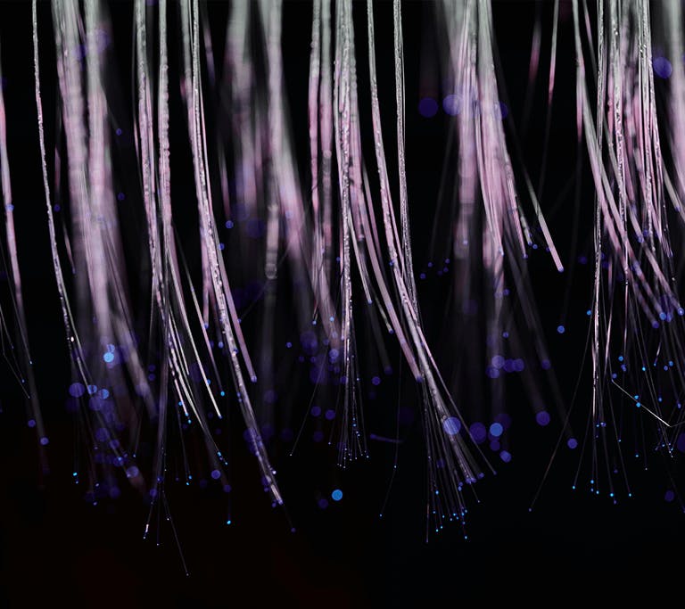 An artistic closeup of several bundles of clear strands of fiberglass with cyan-glowing ends, similar in appearance to fiber optic cables, against a black background.