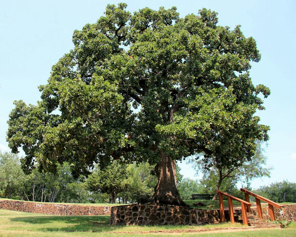 Post Oak | EPB